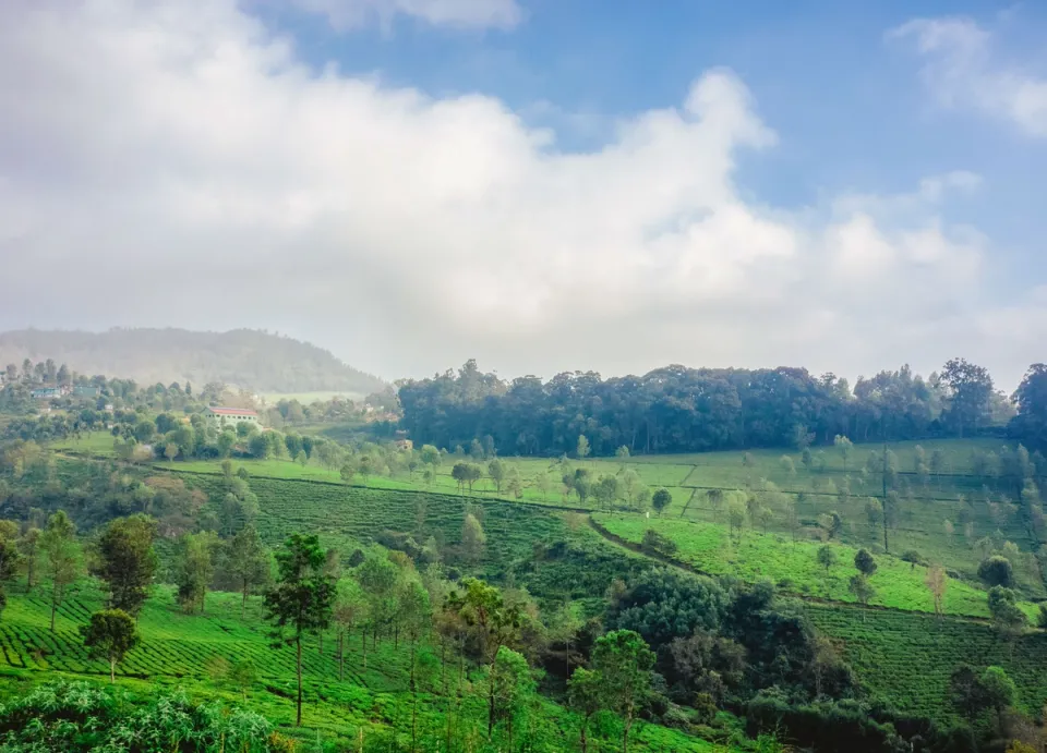 Nature Trails - Signature Experiences in Coonoor, amã Stays & Trails 