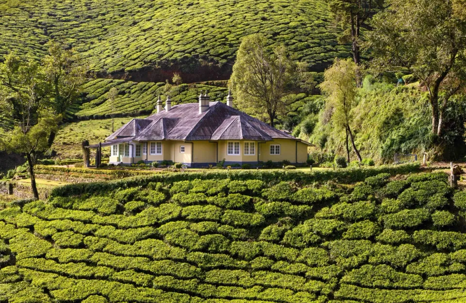 Villa For Rent In Munnar - Sholamallay Bungalow, amã Stays & Trails