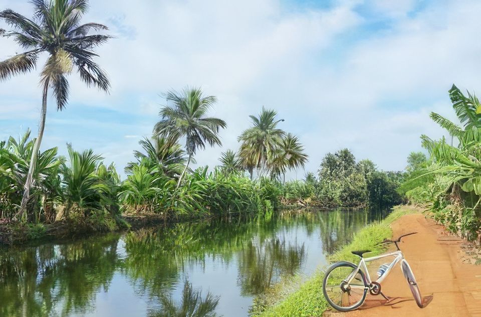 Cycling Across Alleppey - Activities To Do In Alappuzha