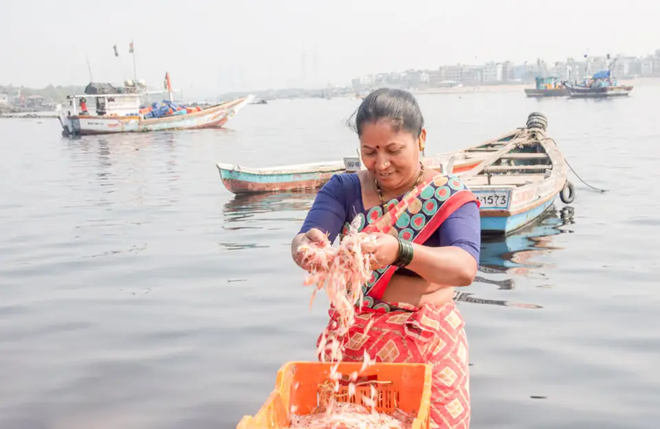 insights into Coastal Living - Experience in Madh Island, amã Stays & Trails