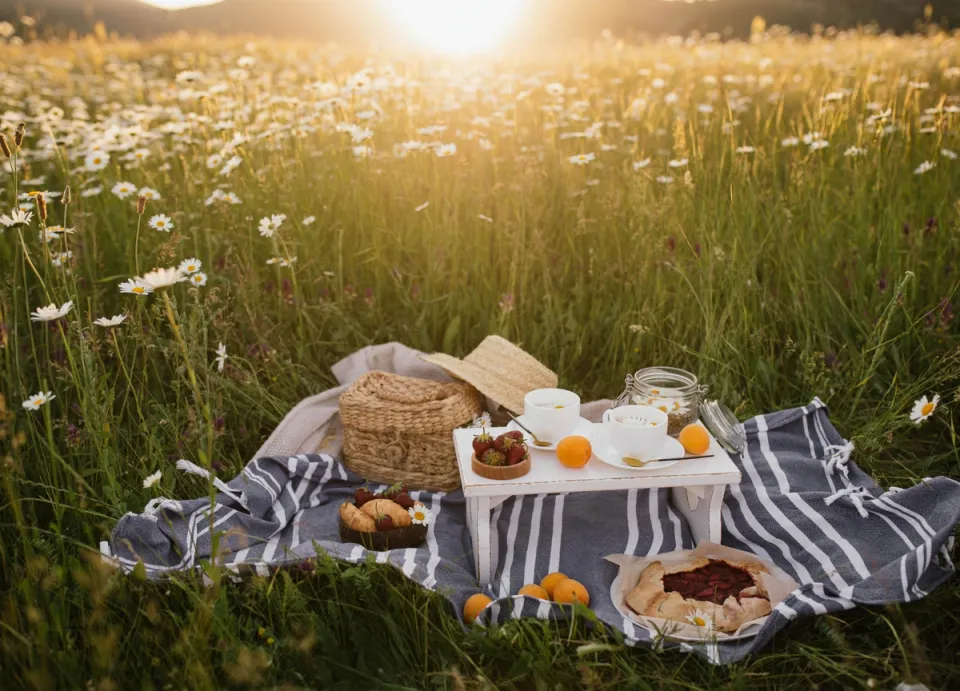 Personalised Picnic Baskets - Luxury Experiences at Asanji Wadi, Alibag