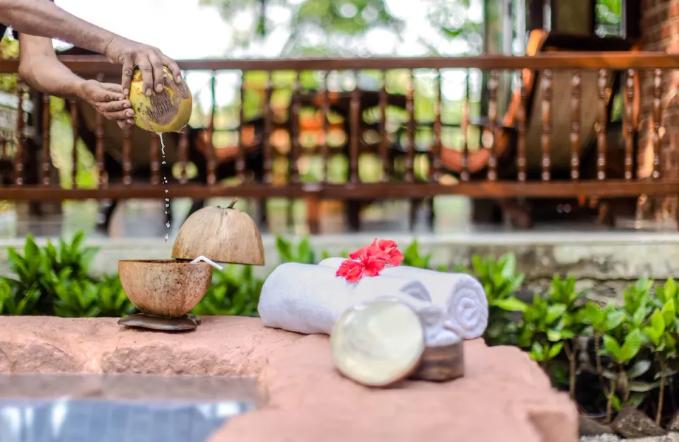 Swimming Pool at Asanji Wadi - Alibaug Luxury Bungalow