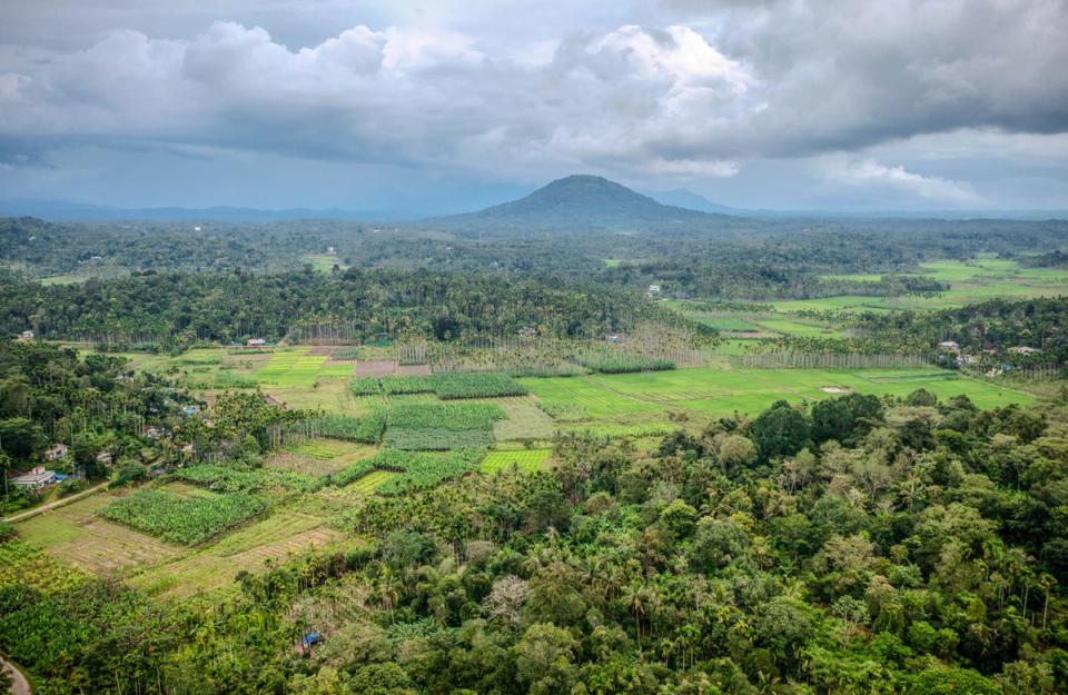 Nature Walks - Experiences in Wayanad - amã Stays & Trails