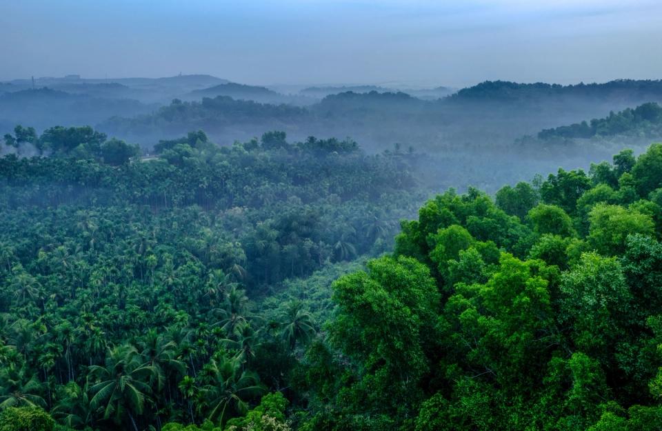 Amazing View of Kasargod, amã Stays & Trails