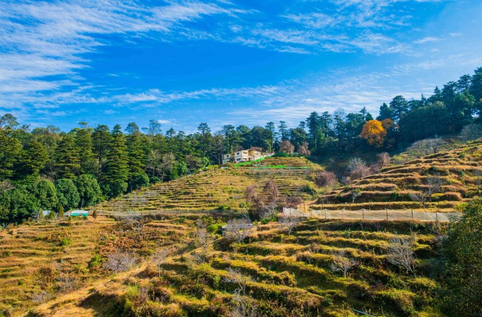 Chaubatia Gardens - Places To Visit In Ranikhet, amã Stays & Trails