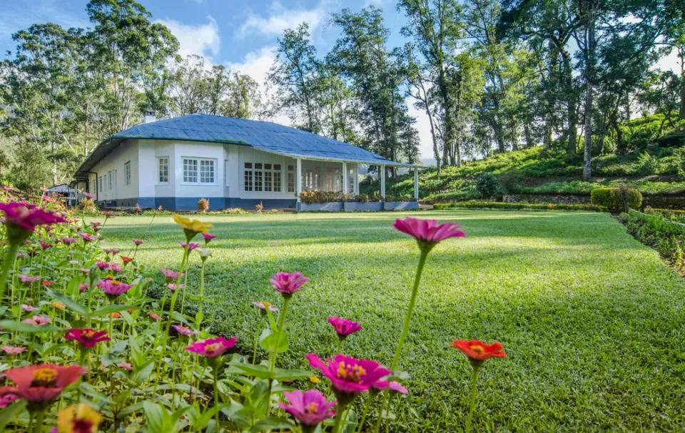 Homestay In Munnar - Kanniamally Bungalow