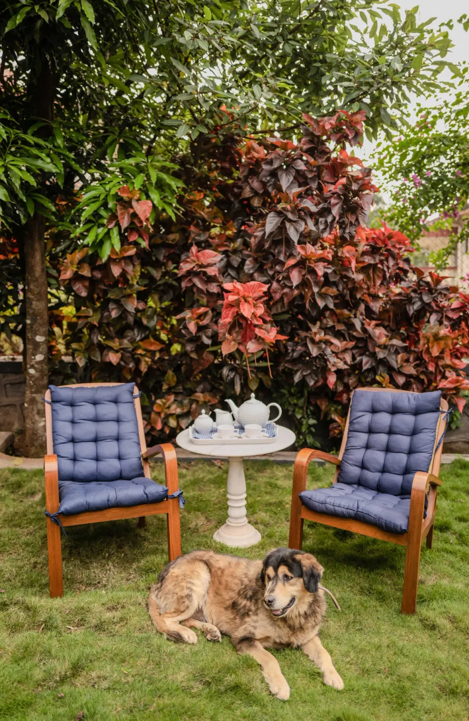 Outdoor Seating Area at Dulwich Park View, Panchgani