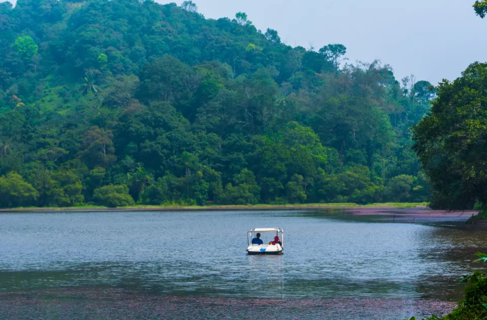 Boating On Pookode Lake - Things To Do In Wayanad, amã Stays & Trails