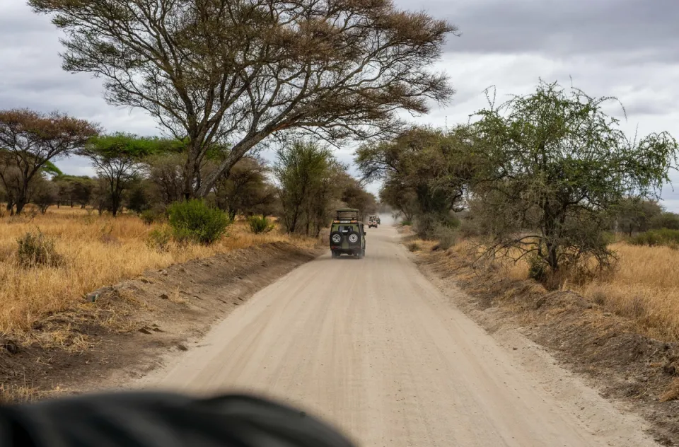 Jeep Safari in Tata Coffee Plantations