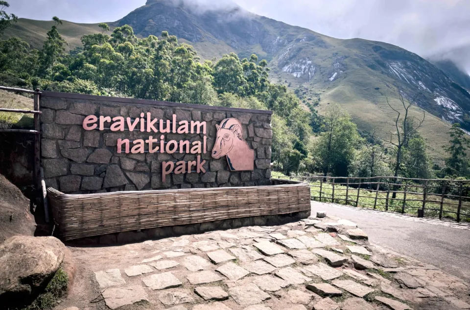 Trekking in Eravikulam National Park