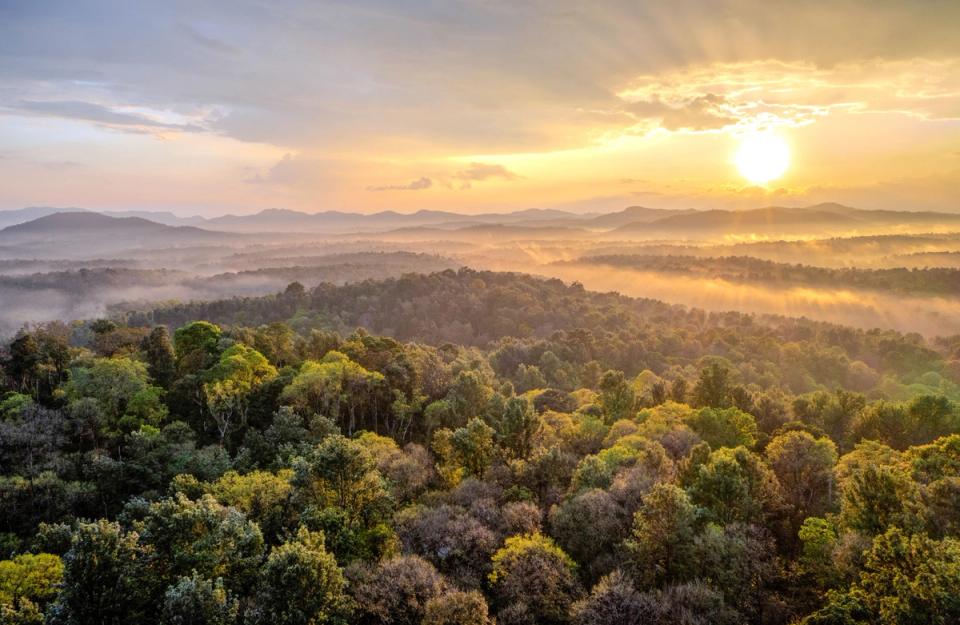 Iconic View of Coorg, amã Stays & Trails 