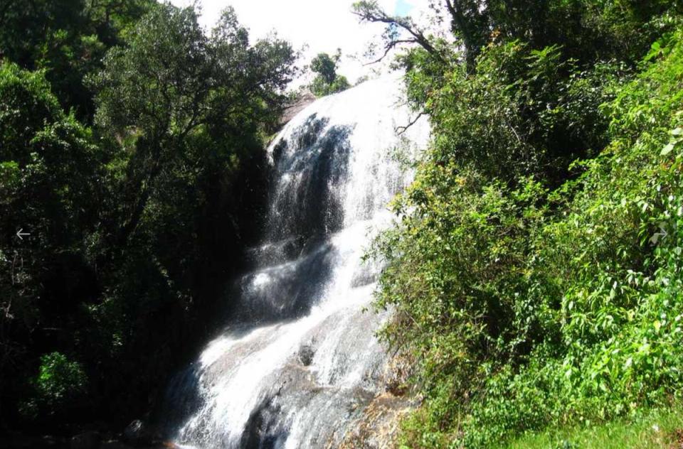 Visiting Bear Shola Falls