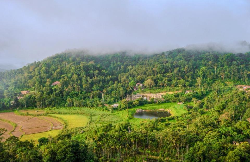 Bird Eye View of Coorg, amã Stays & Trails