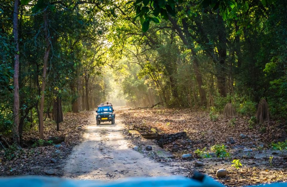 Things To Do in Coorg - Jeep Safari in Tata Coffee Plantations