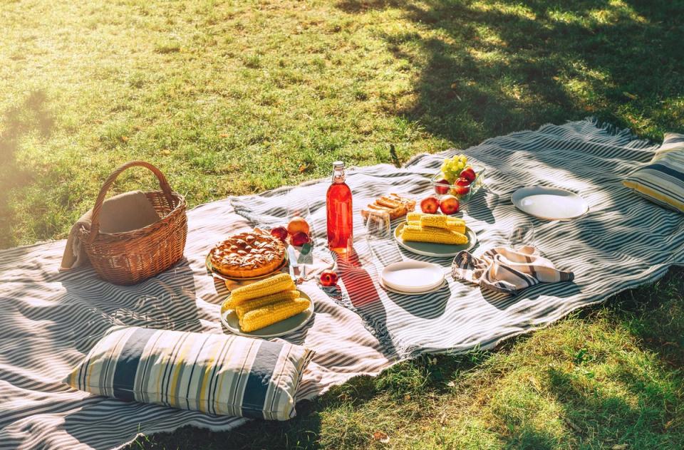 Picnic