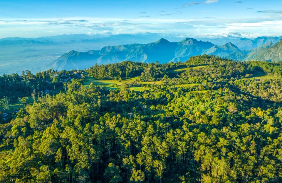 Bird Eye View of Kodaikanal - amã Stays & Trails