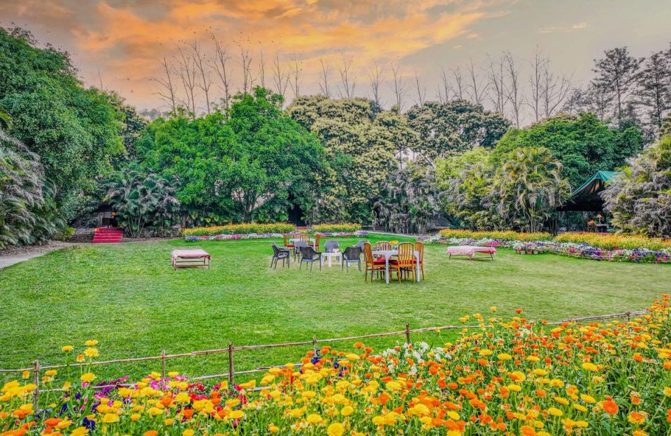 Breakfast By The Lawn - Unique Experiences at Citrus County, Hoshiarpur