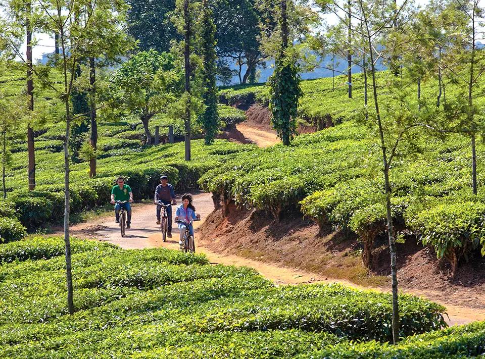 Cycling - Activities To Do in Coorg, amã Stays & Trails 