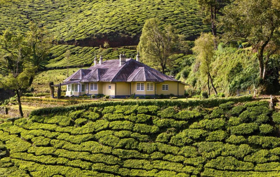 Villa In Munnar For Stay - Sholamallay Bungalow, amã Stays & Trails 