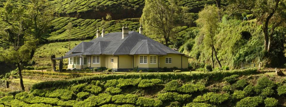 Experience Authentic Tea Plantation Life in Munnar