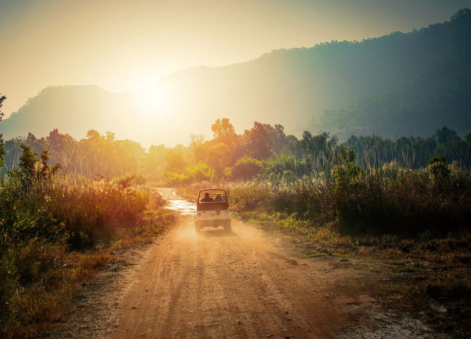 Jeep Safari in Tata Coffee Plantations - Must Have Experiences in Coorg