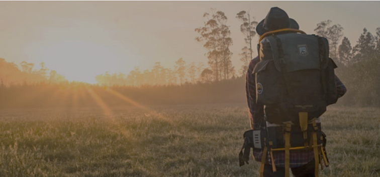 Article Banner Image