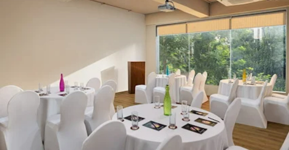 Ginger Bhubaneshwar Conference Rooms