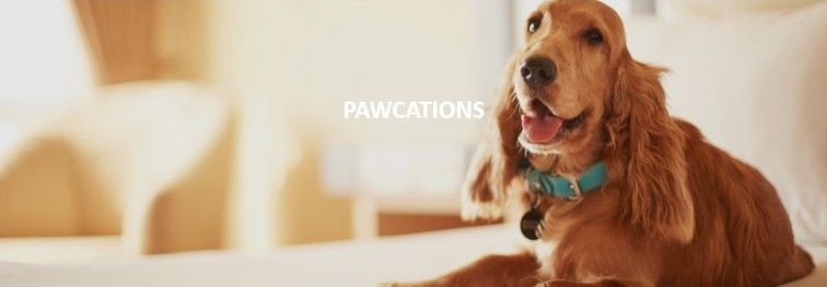 Article Banner Image