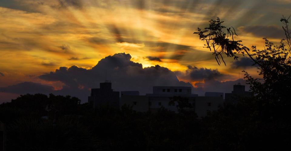 Places To Visit Near Ginger Chennai Tharamani- Sunset at IIT Madras