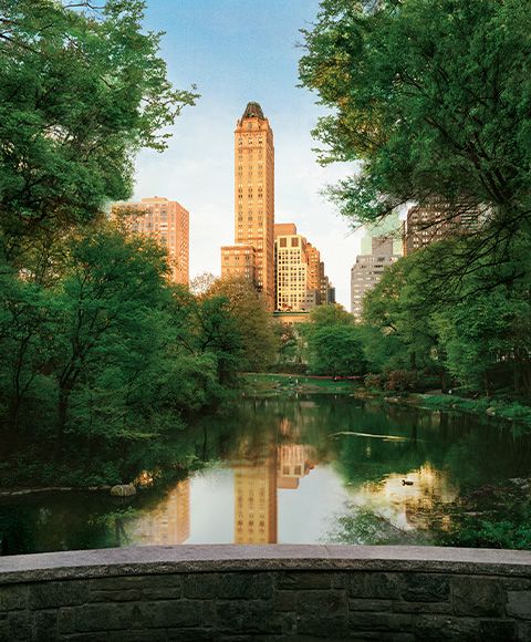 Forayed into New York with The Pierre