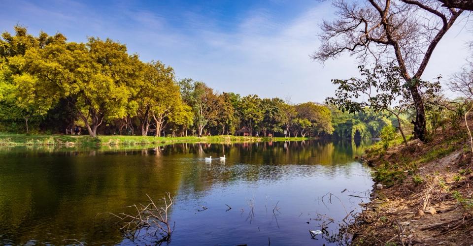 Places to visit near Ginger East Delhi- Mehrauli Forest