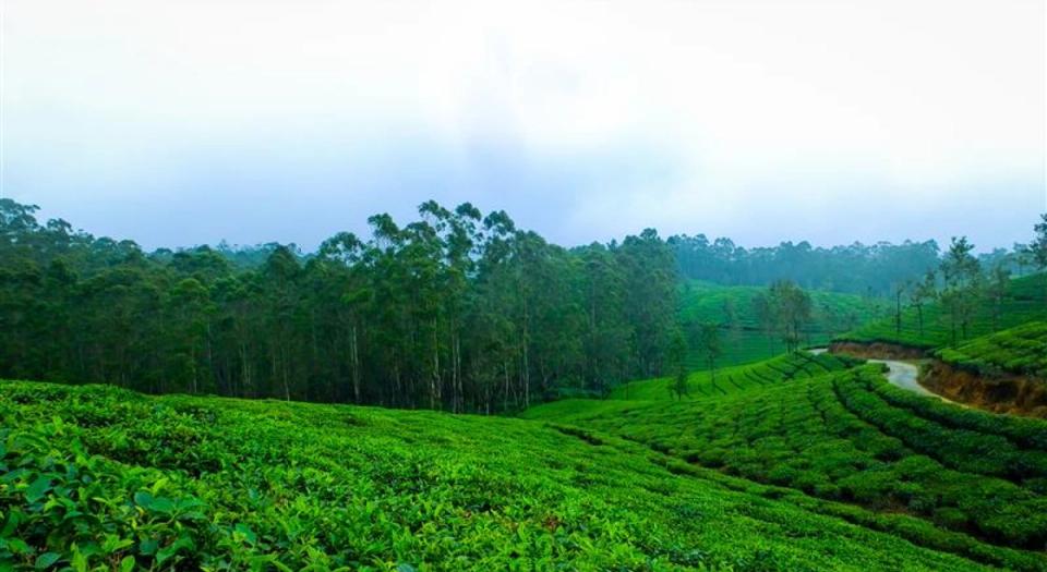 Stay A Bit Longer offer at Gateway Coorg