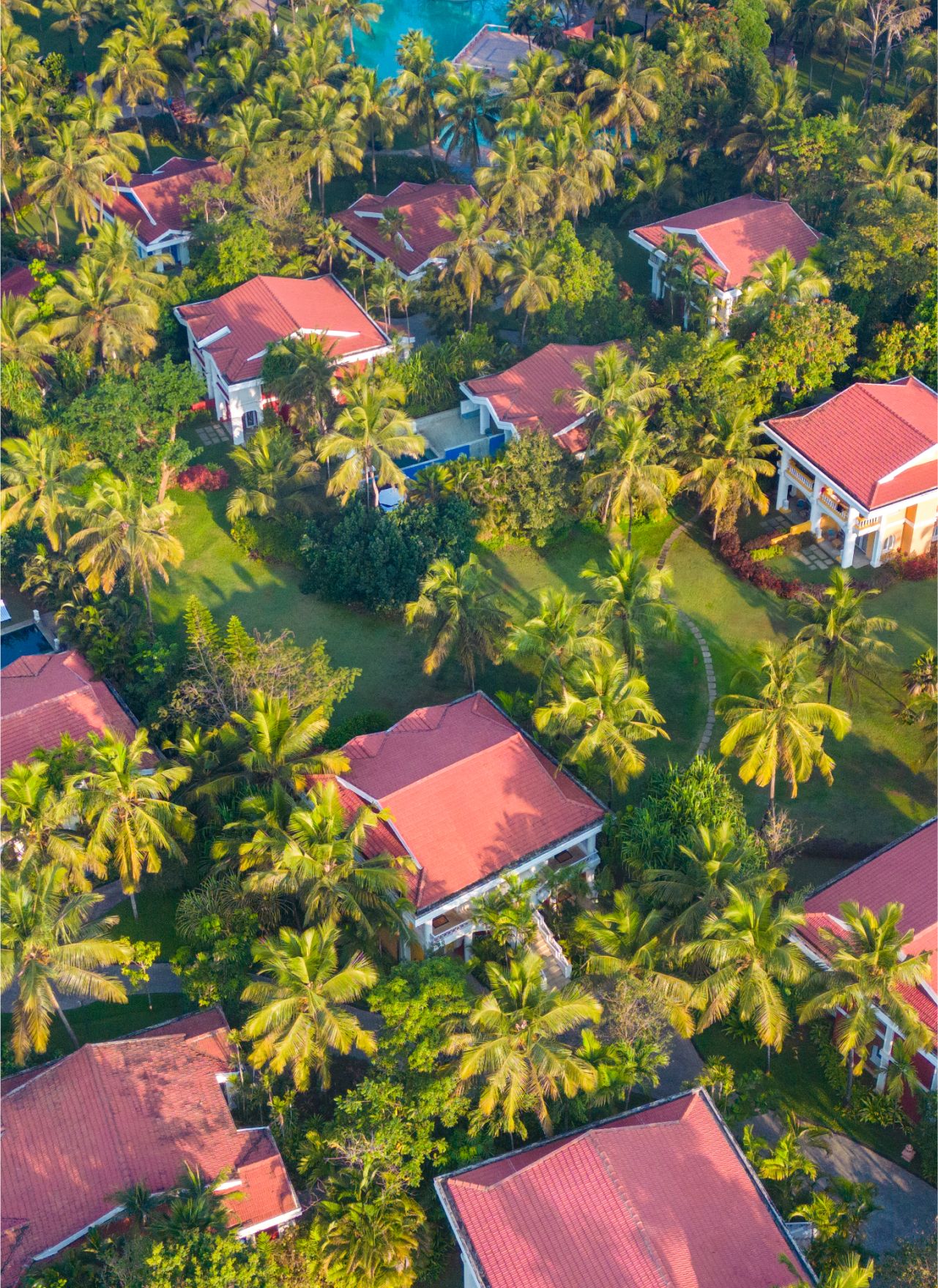 Taj Exotica Goa pool and villa landscape