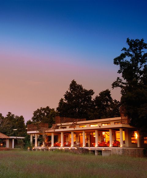 Launched Taj Safaris – India’s first luxury safari circuit