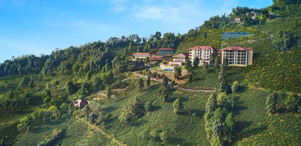 Tea Estate View of Taj Chia Kutir Resort & Spa, Darjeeling - Banner Image
