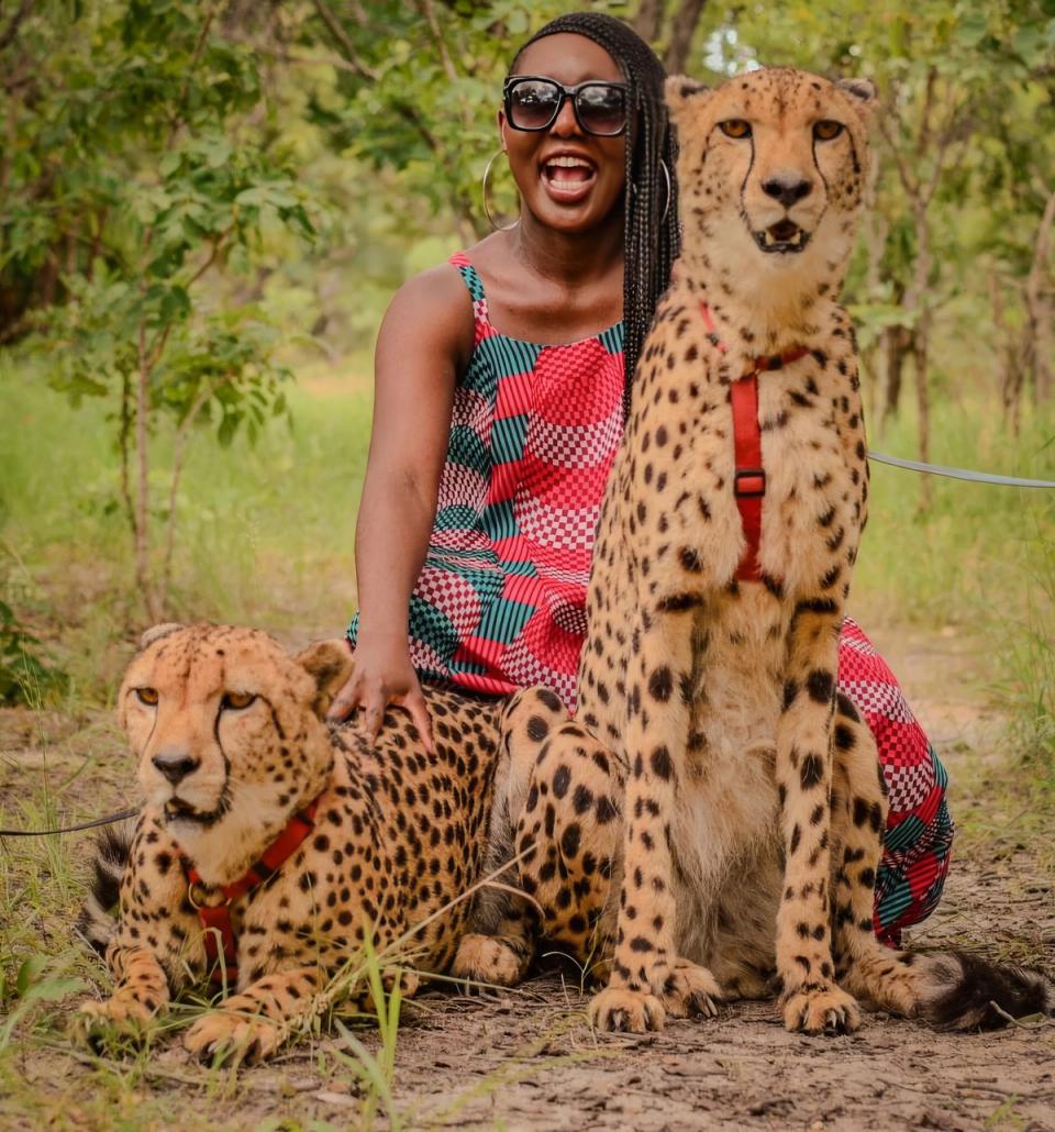 Walk With Cheetahs: Must Have Lusaka Experience