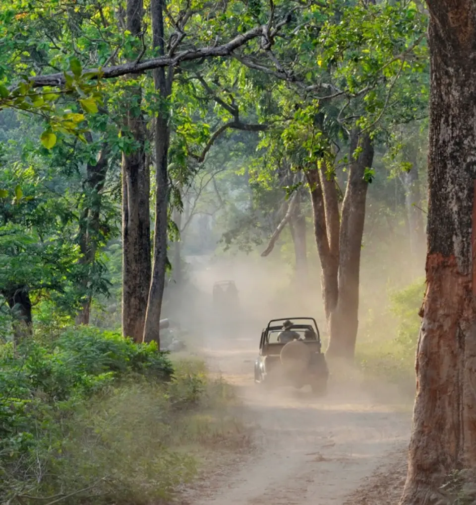  Jeep Safari - Taj Corbett, Uttarakhand