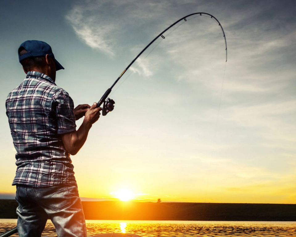  Go Fishing near Taj Kumarakom Resort & Spa