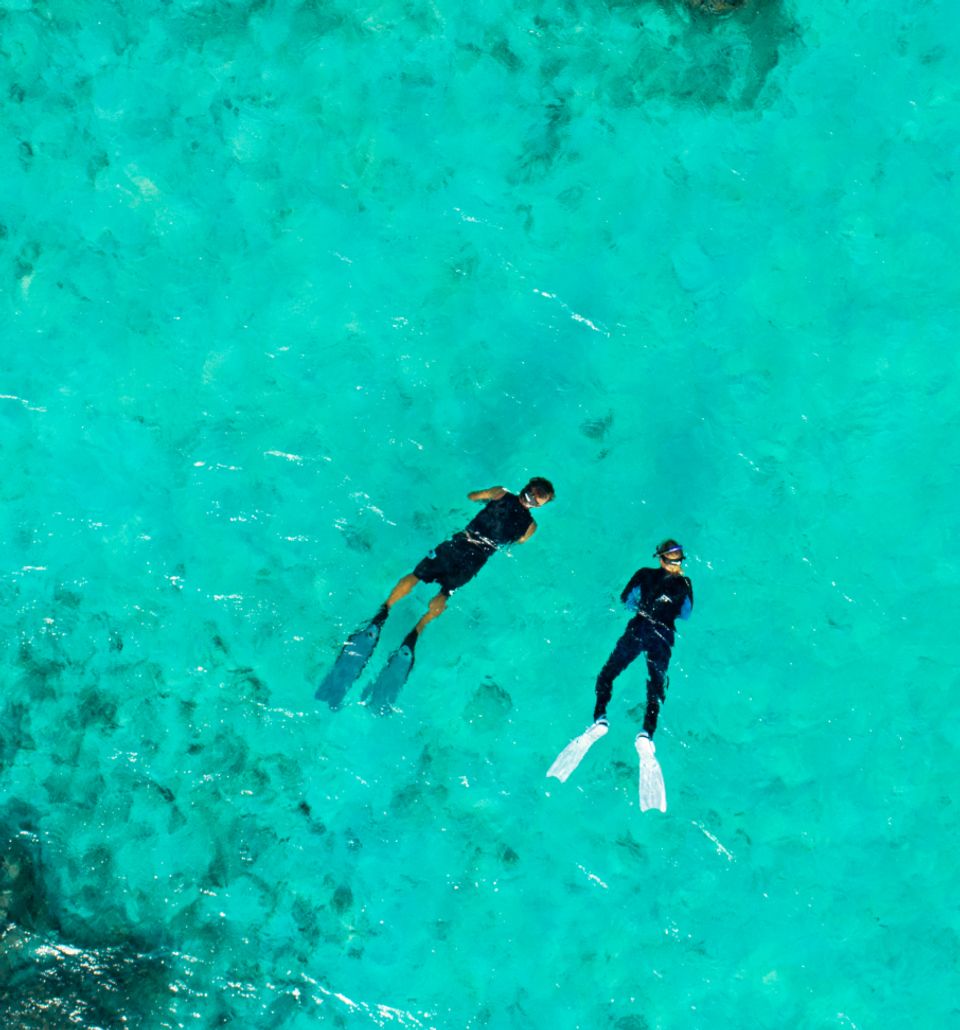 Snorkel With Turtles - Experiences at Taj Coral Reef, Maldives