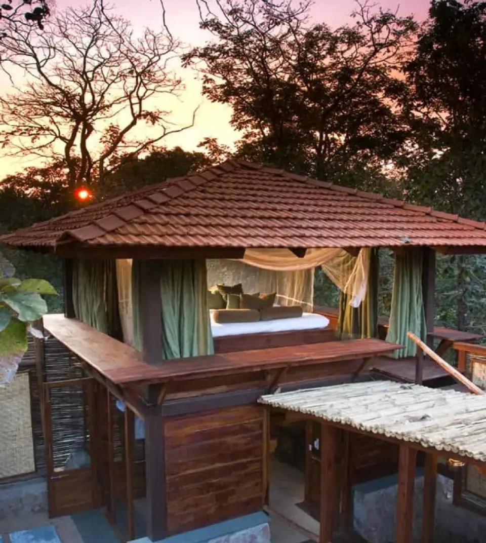  20% Savings At Taj Safaris - Epicure