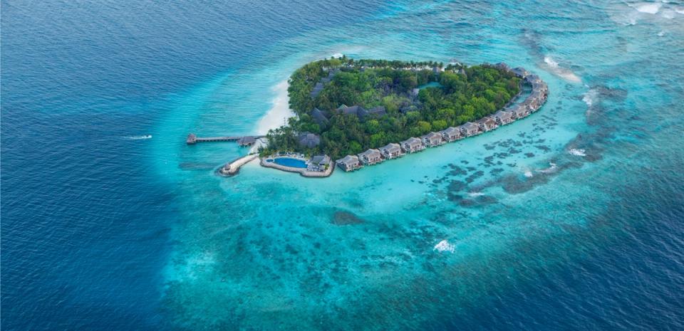 Blue Island - Banner Image of Taj Coral, Maldives