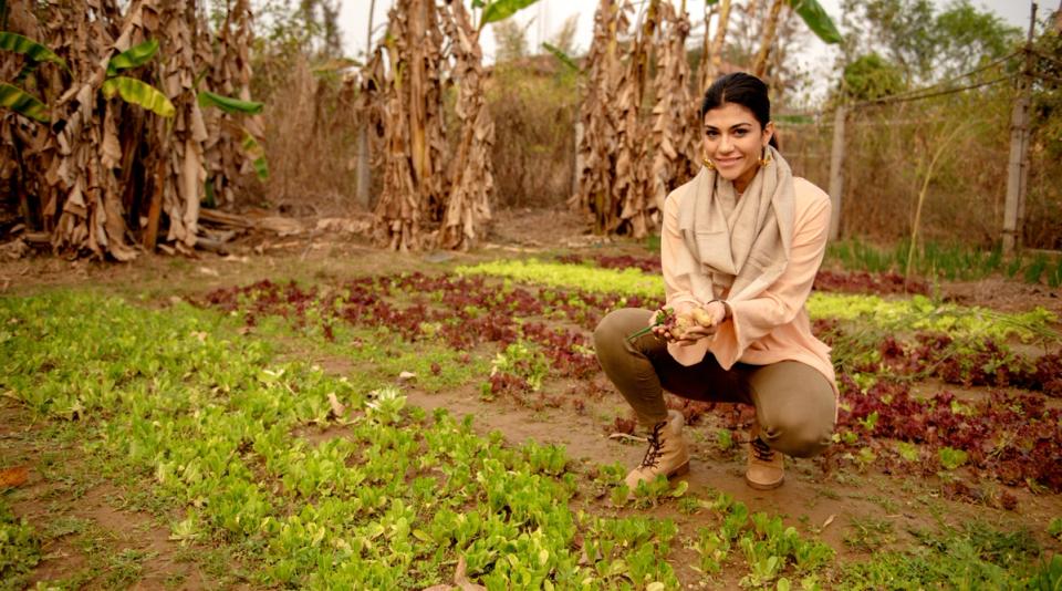   Spice discovery in an Open Deck Setting at Banjaar Tola, Kanha National Park  