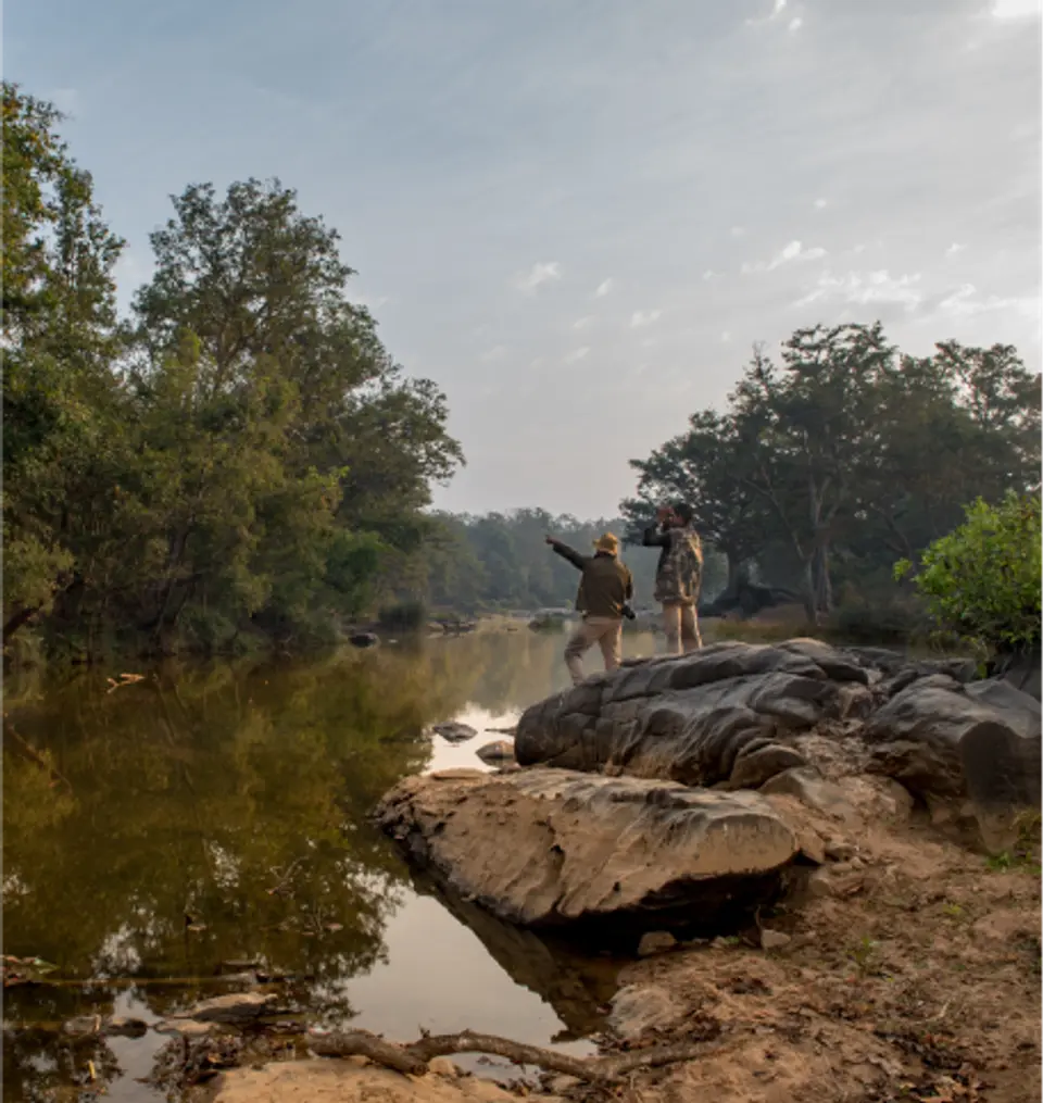  Take An Informative Walk With Expert Naturalists - Taj Banjaar Tola