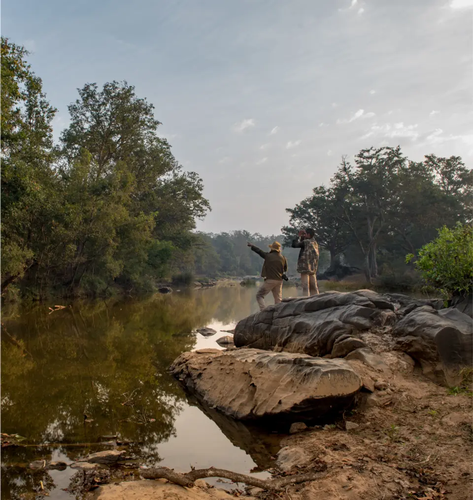  Jungle Safaris With Resident Naturalists - Taj Baghvan, Pench National Park