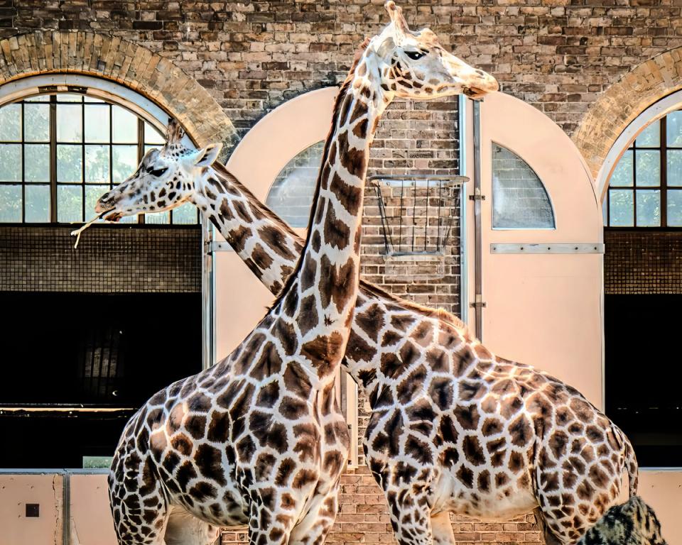 ZSL London Zoo - Attractions & Places to Visit in London