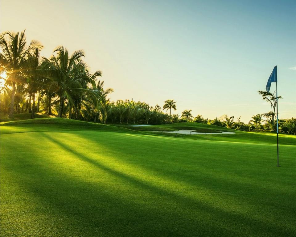 Emirates Golf Club near Taj Jumeirah Lakes Towers