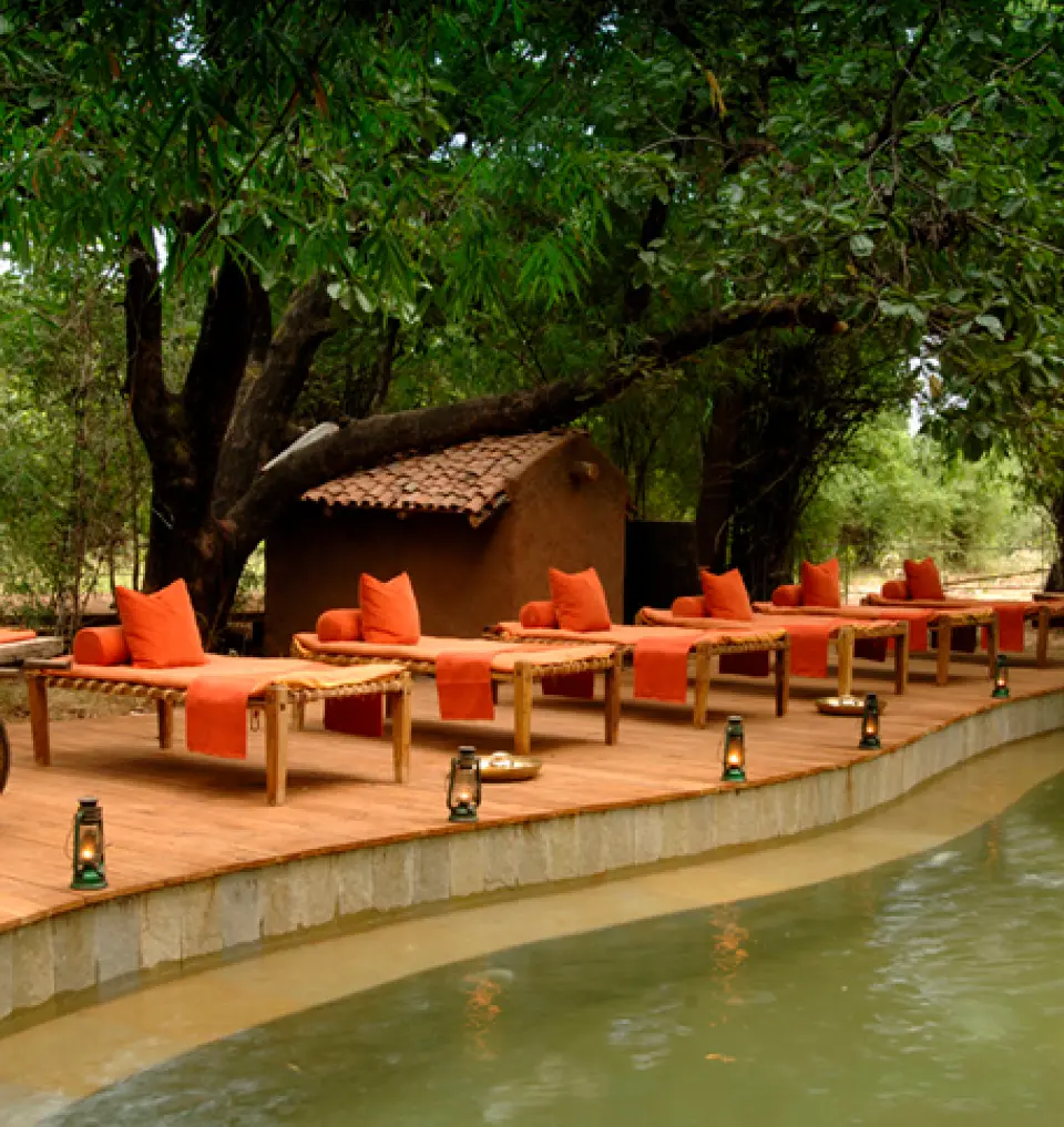 Bean Shaped Pool - Taj Mahua Kothi