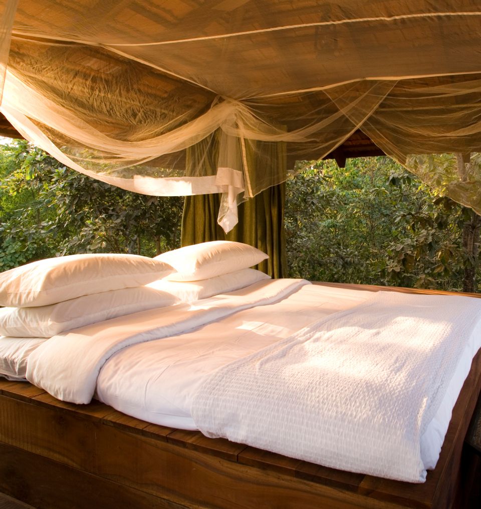  Sleep In Your Private Machan - Taj Baghvan, Pench National Park