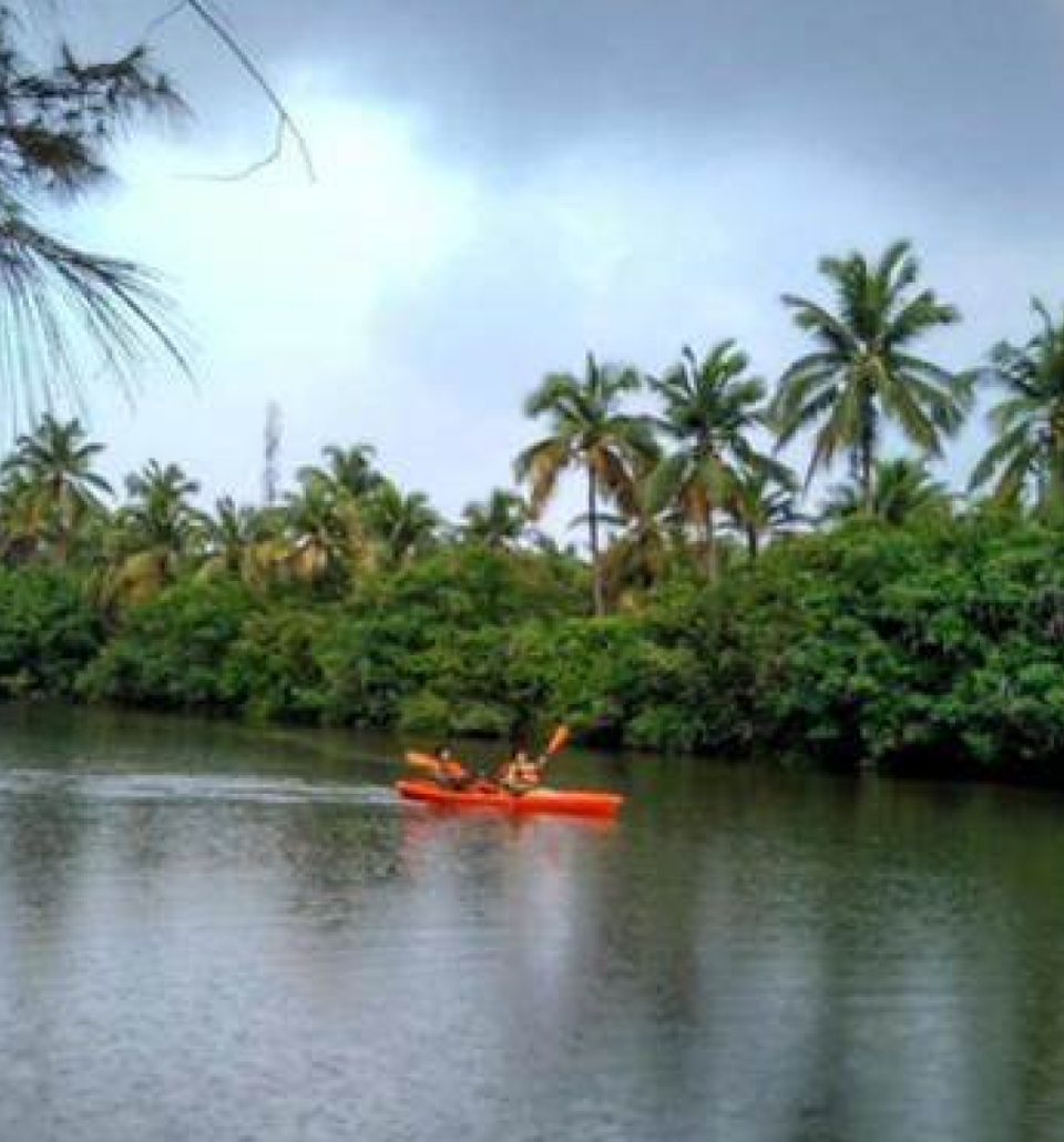  Kayaking - Experiences at Taj Kumarakom Resort & Spa