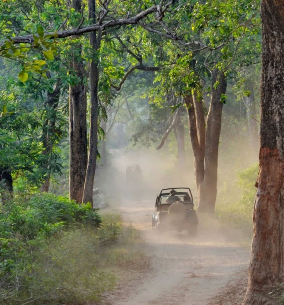Jeep Safari - Experiences at Taj Corbett